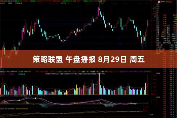 策略联盟 午盘播报 8月29日 周五