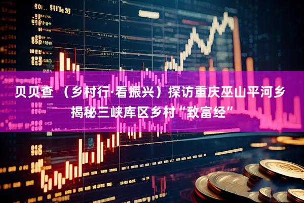 贝贝查 （乡村行·看振兴）探访重庆巫山平河乡 揭秘三峡库区乡村“致富经”