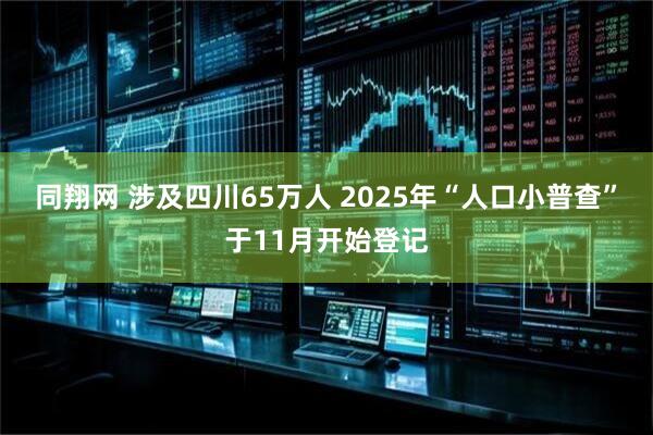 同翔网 涉及四川65万人 2025年“人口小普查”于11月开始登记