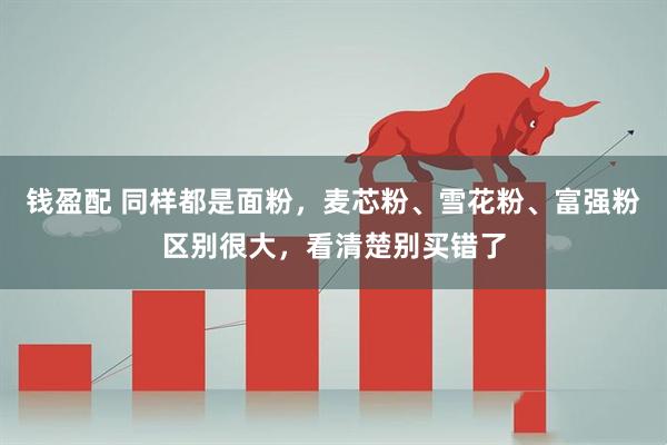 钱盈配 同样都是面粉，麦芯粉、雪花粉、富强粉区别很大，看清楚别买错了