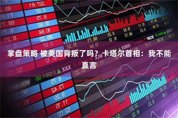 掌盘策略 被美国背叛了吗？卡塔尔首相：我不能直言